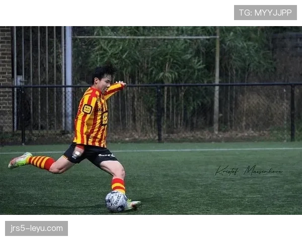 梅赫伦球队完成结构重塑,蓄势待发迎战新赛季 梅赫伦球队完成结构重塑,蓄势待发迎战新赛季